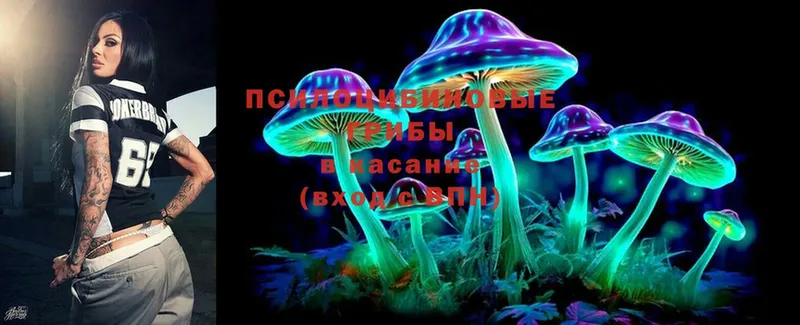 закладки  Ангарск  Галлюциногенные грибы Psilocybine cubensis 